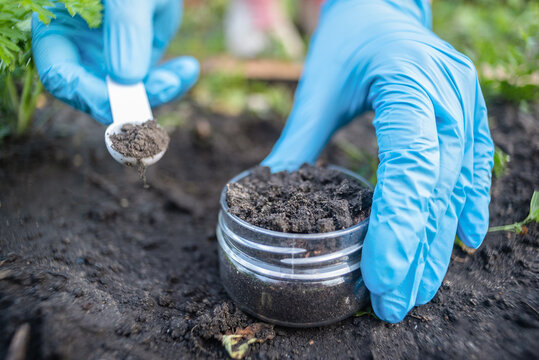 Soil Stock Photo